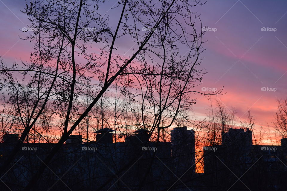 beautiful sunset over the houses street view