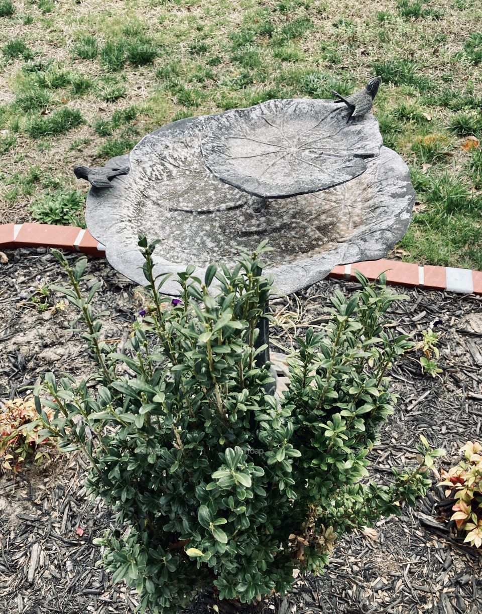 Metal bird bath