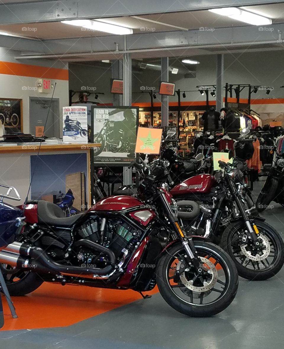 Harley Davidson Dealership Inside.