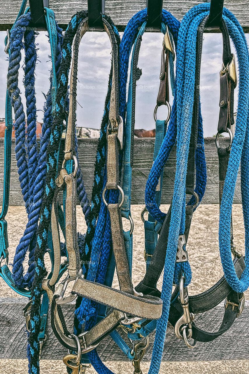Reins on a horse farm, riding equipment for horses, horse farm In Pennsylvania, riding horses in Pennsylvania, horses of the Midwest, equipment for riding, horses at a boarding stable