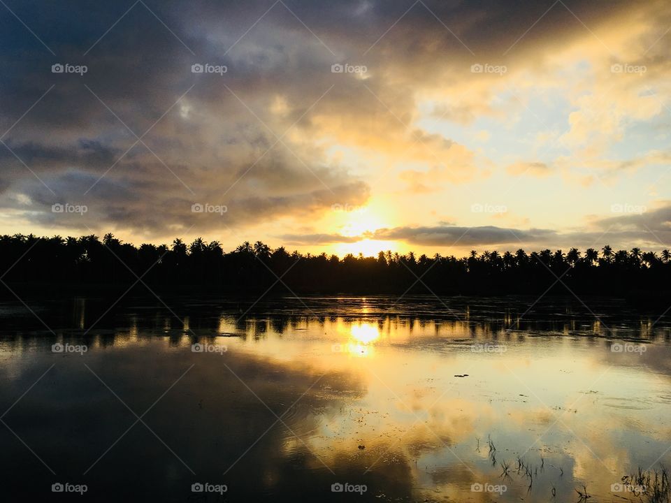 #Skylight#sunset#clouds#swamp#land#trees#picture#perfect#reflections#