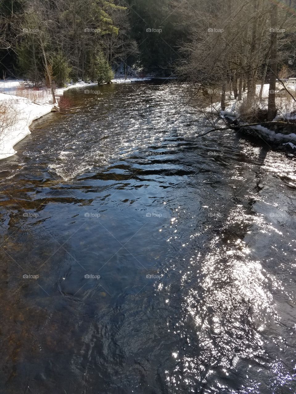 Glistening creek from the winter sun
