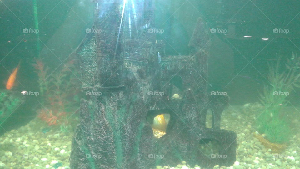 Under Water Castle