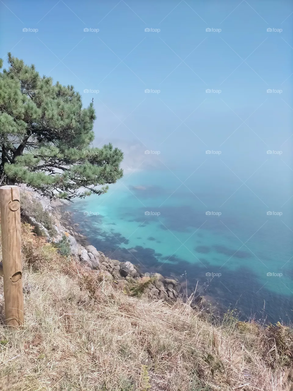 mar