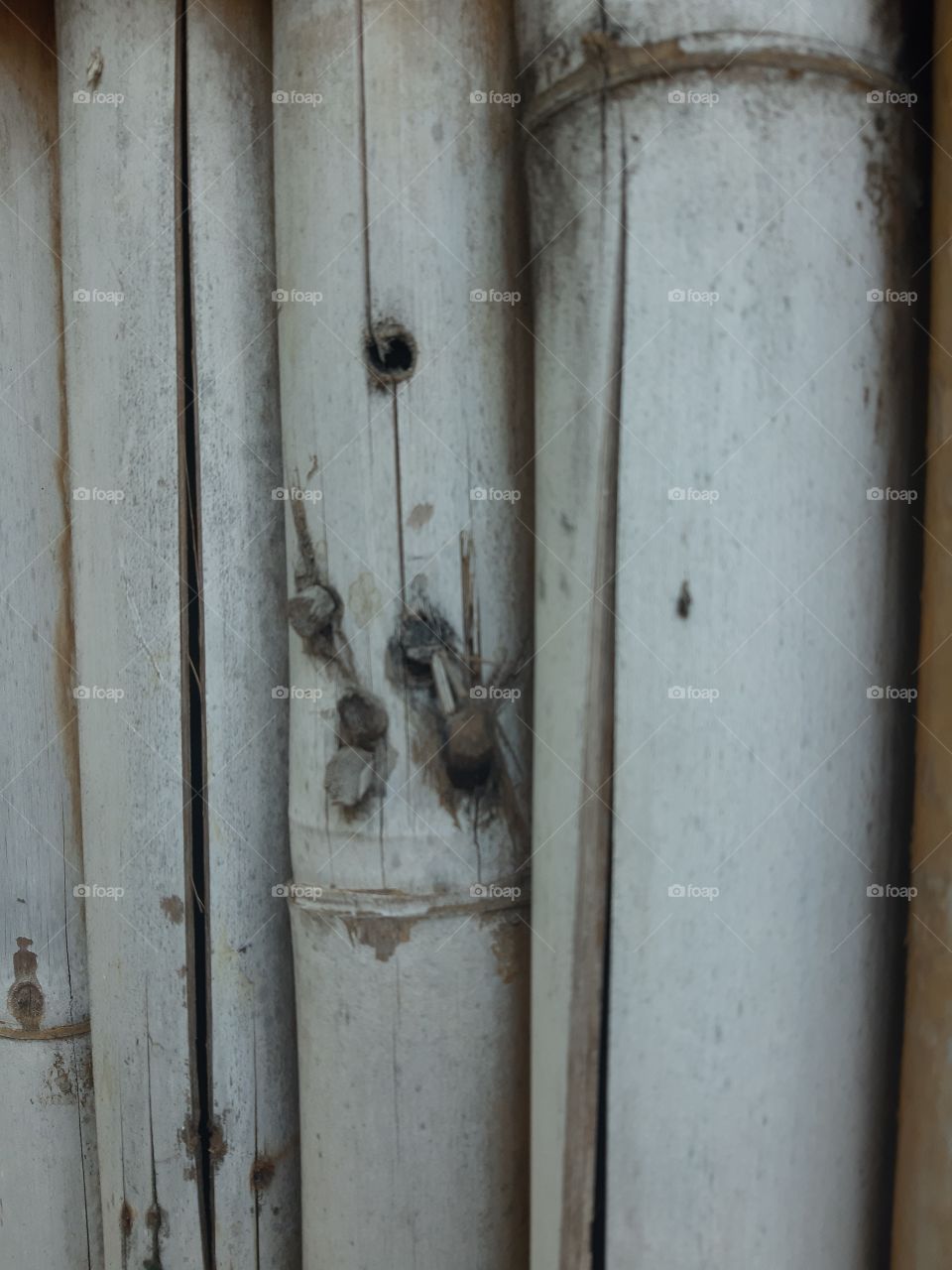 A close up texture of bamboo walls