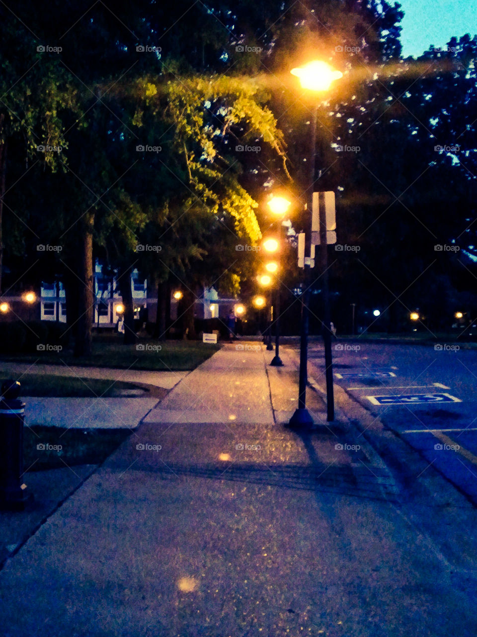Lights in the Evening. A sidewalk lined with beautiful lights in the evening.