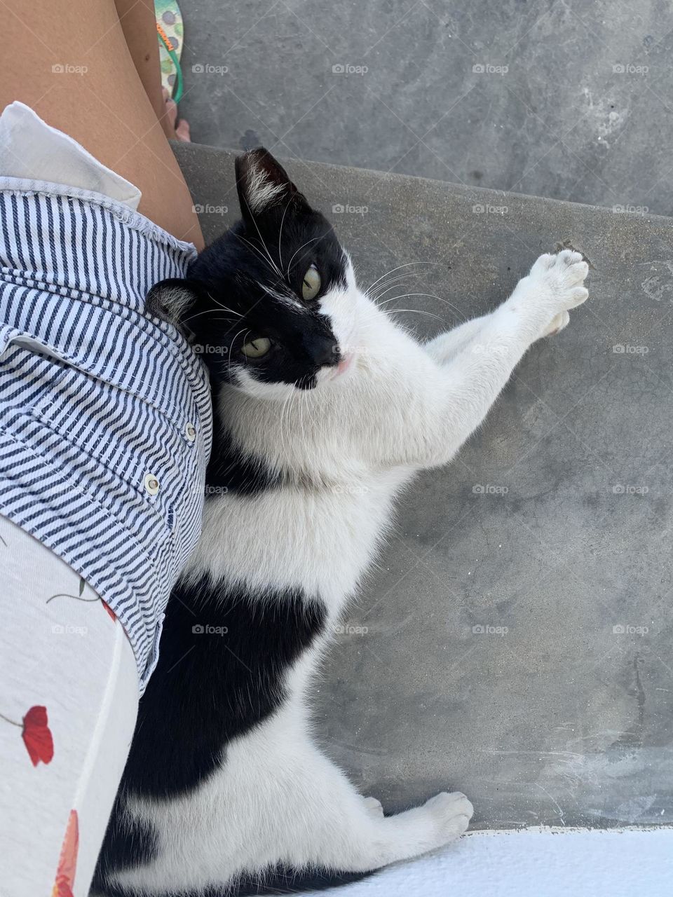 Longing for affection 