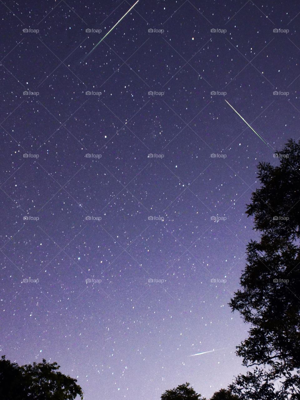 Perseids Meteor Shower August 2020