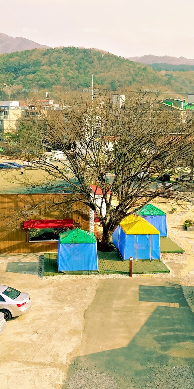 the backyard of our home.