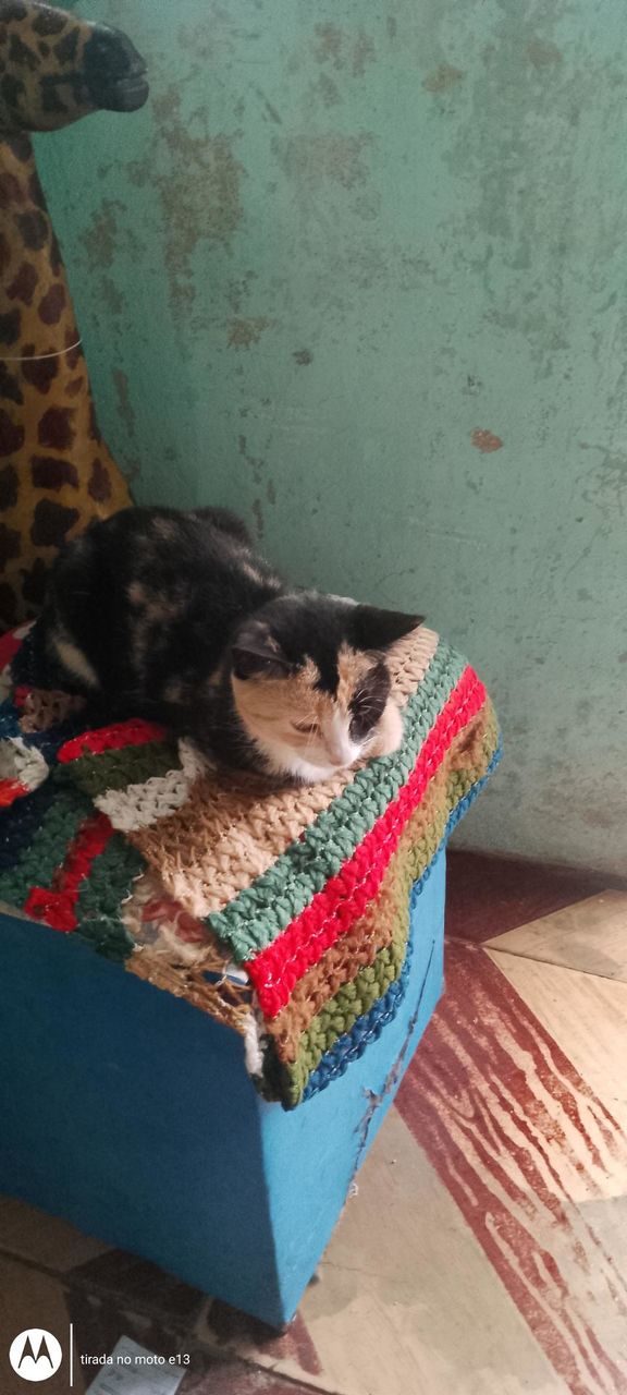 Gata