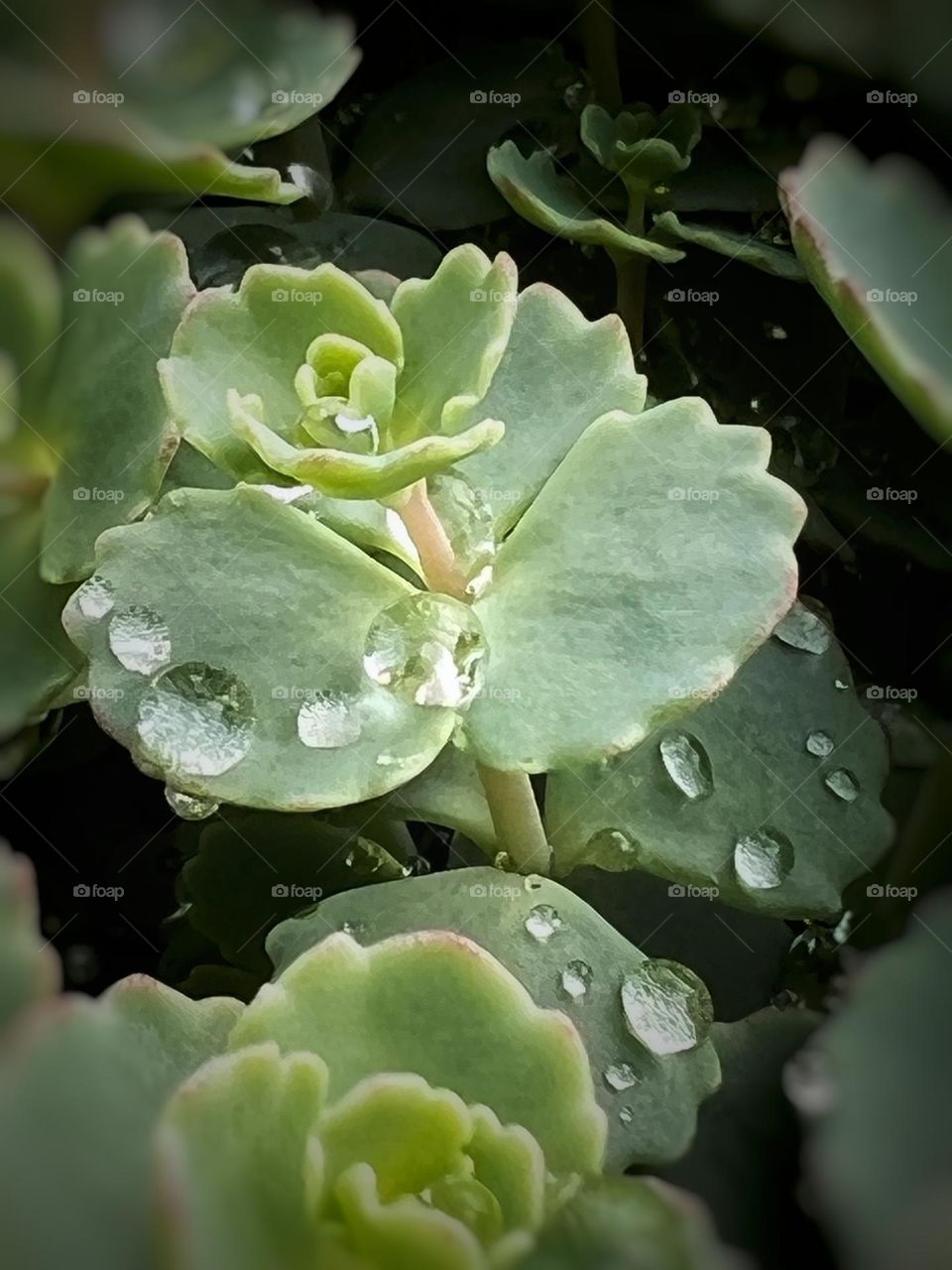 After rain