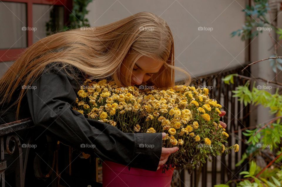 Autumn flowers, chrysanthemums, yellow autumn color