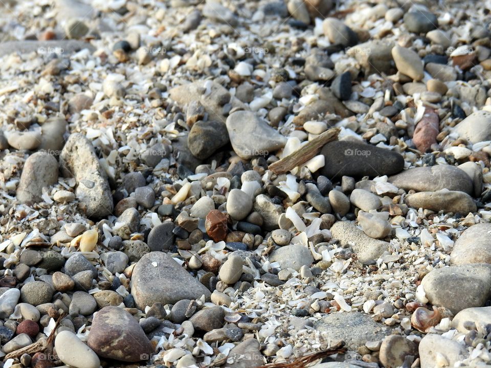 shells and sand