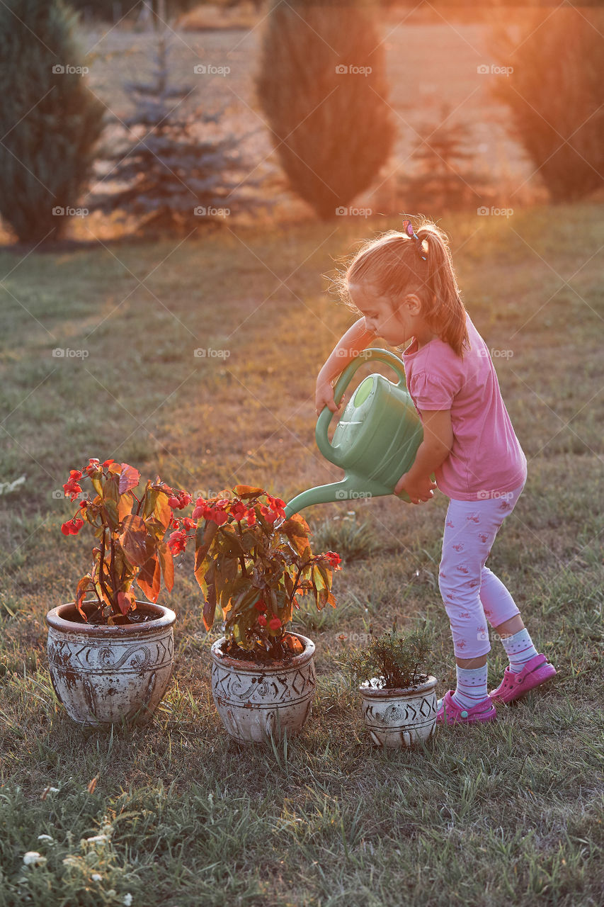 Watering the flowers growing in flower pot, pouring water from green watering can, working in backyard at sunset. Candid people, real moments, authentic situations