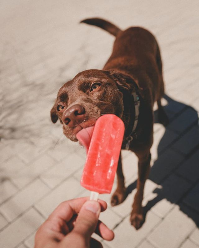Licking