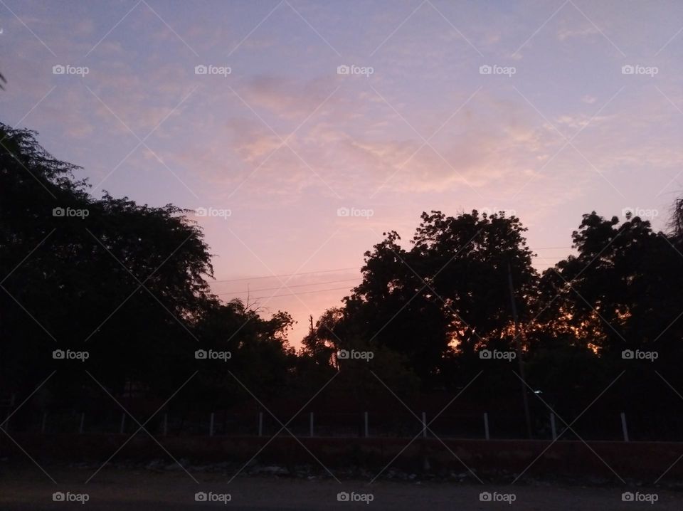 the sun set secene, scattered clouds darkness in the sky, radish clouds dark green trees looks very beautiful