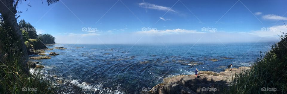 Tidepools and endless ocean disappear into a wall of fog on the coast of the PNW