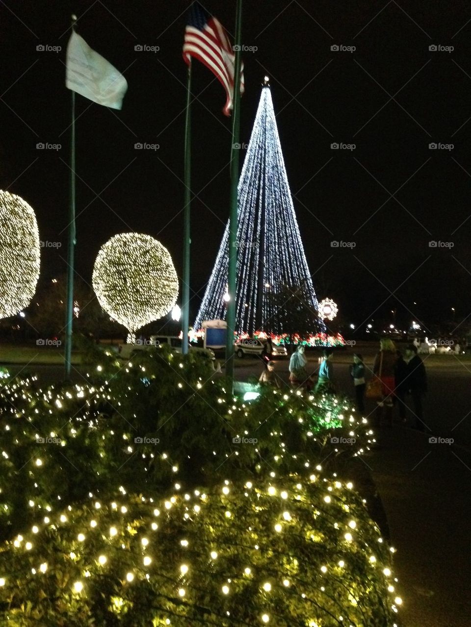 Outdoor Christmas tree