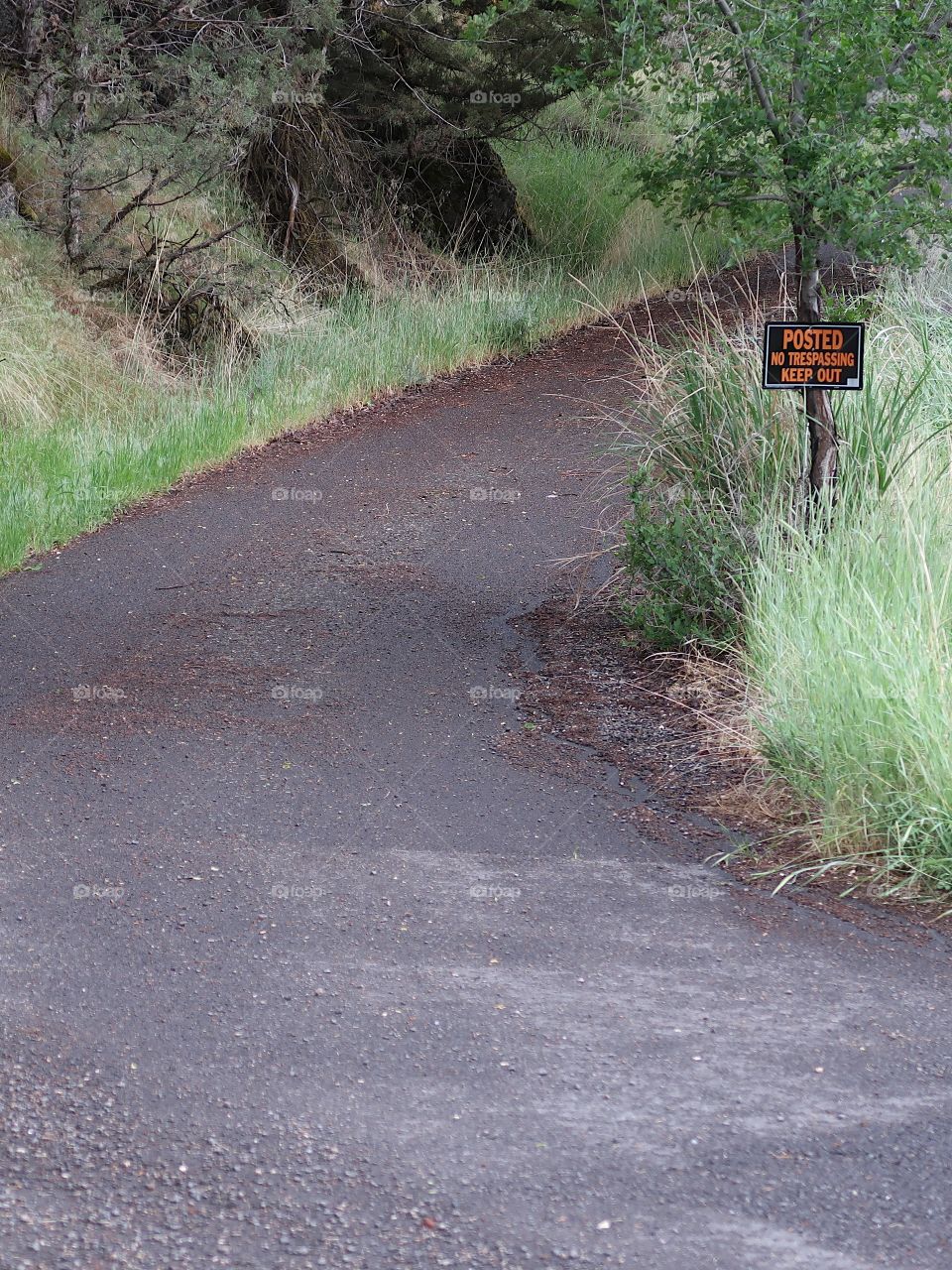 A private road leads up a hill in Central Oregon with a posted sign. 