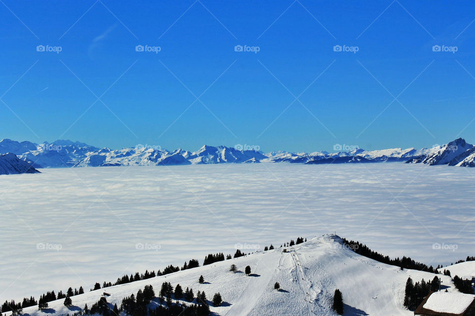 Above the clouds
