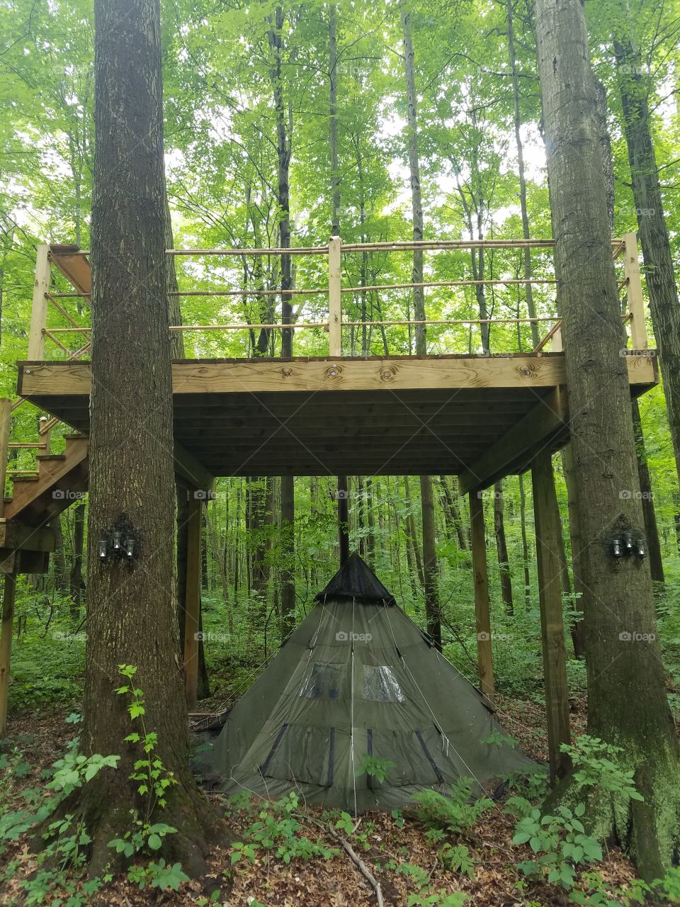 Tree House in the Woods