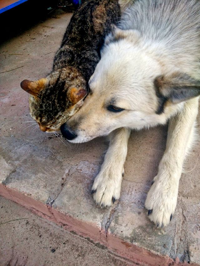 friendship
