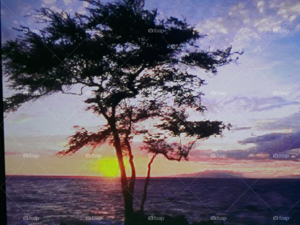 paisagem  com dourado no fundo