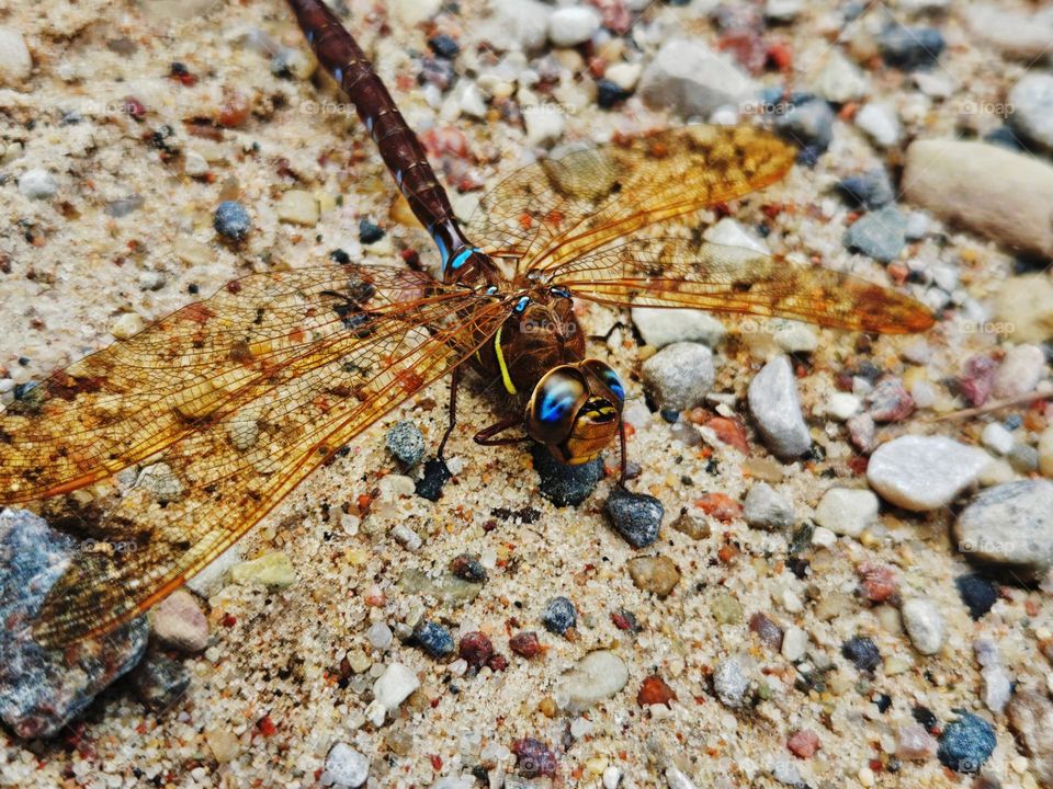 The beauty of the small miracles of nature