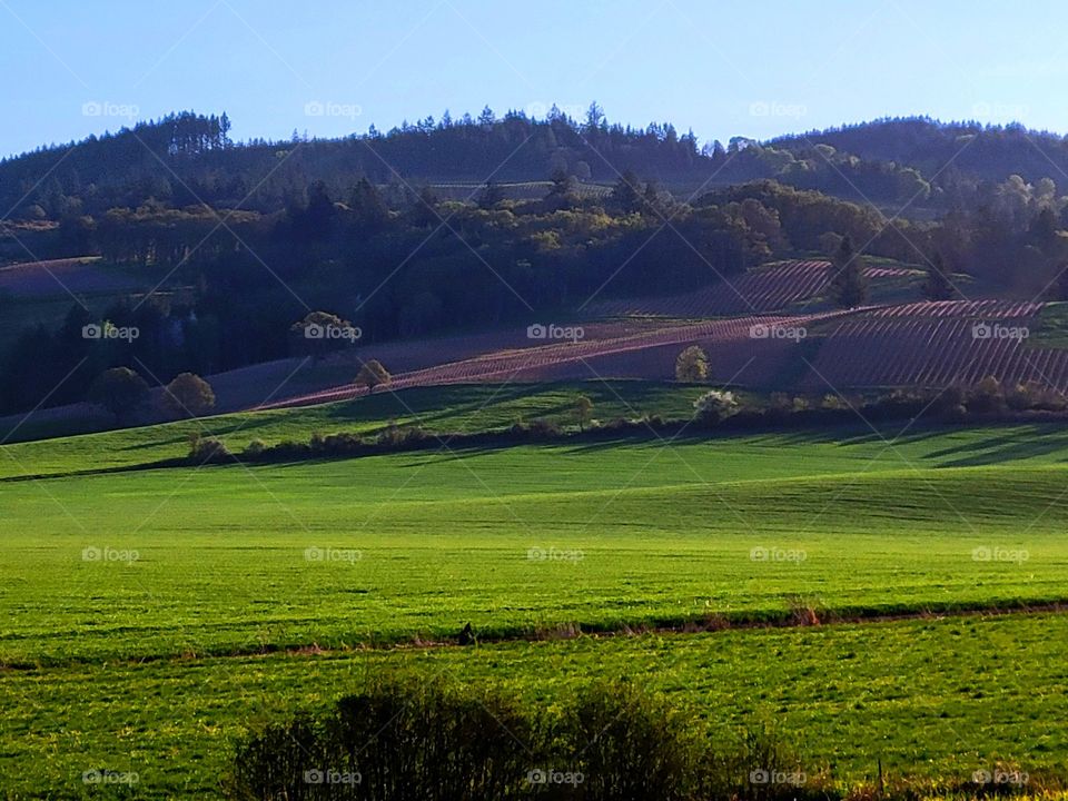 watching Oregon transform from winter to spring