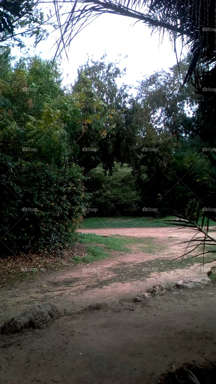 Landscape