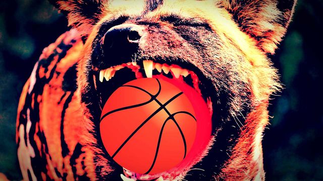 Speaking in dog's mouth
