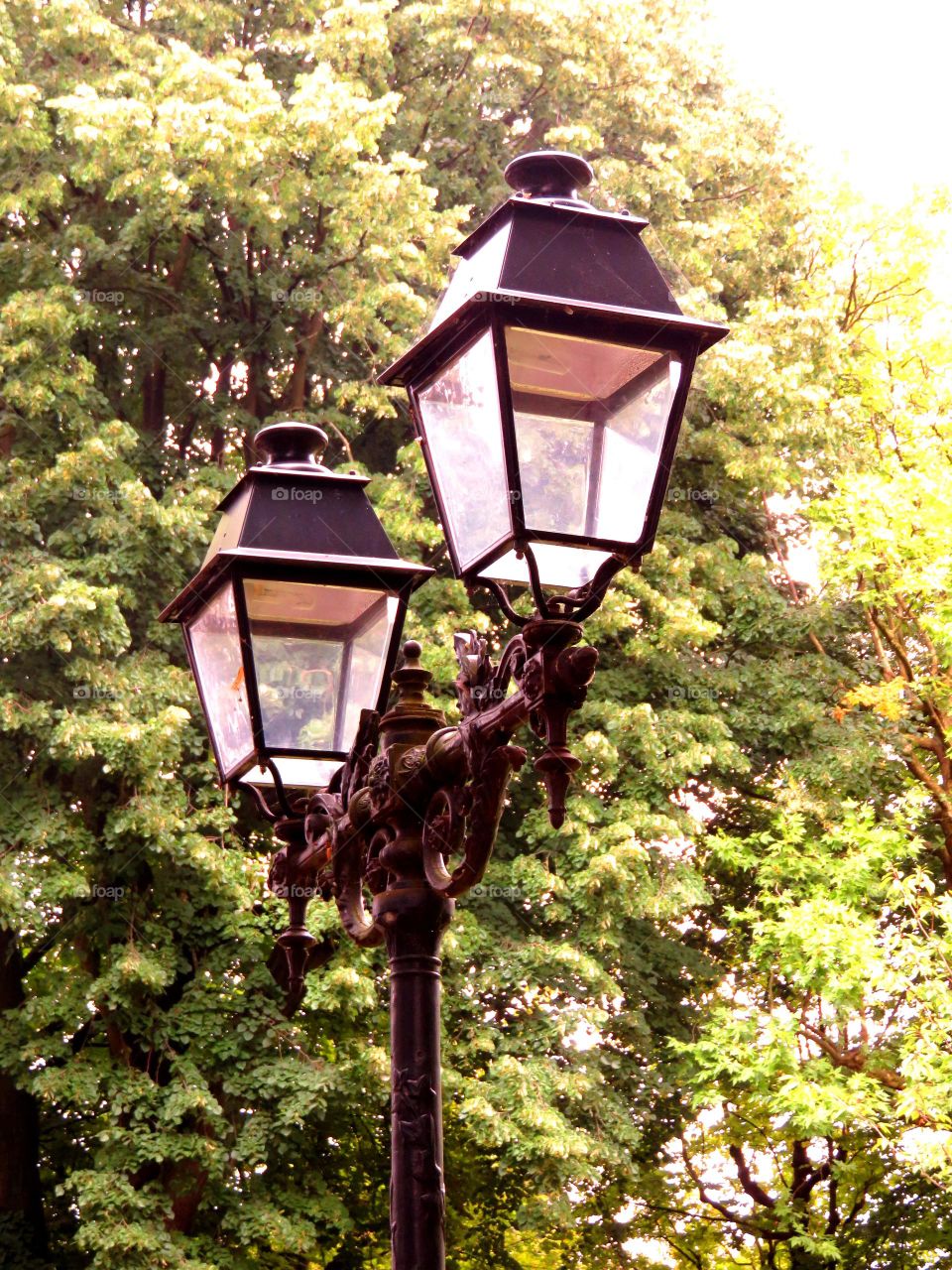 beautiful lamppost