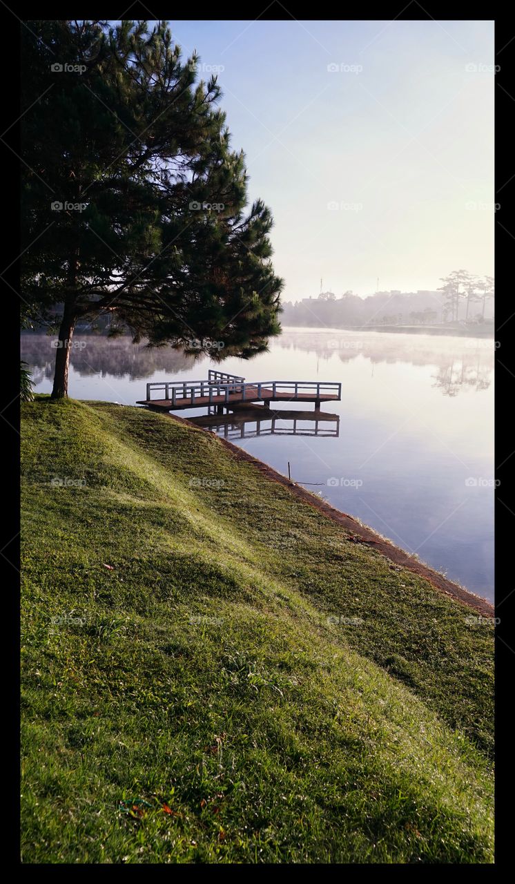 Morning by the lake