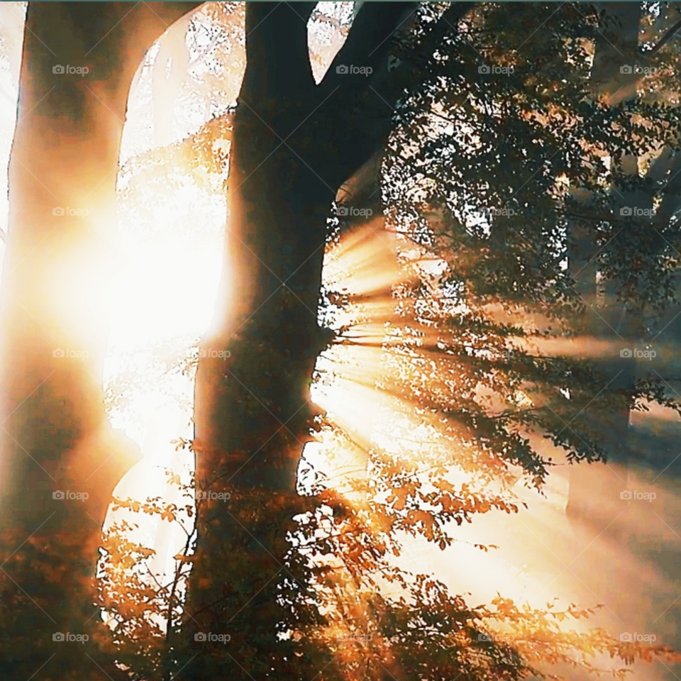 🌄🌄sunrise🌄🌅🌅