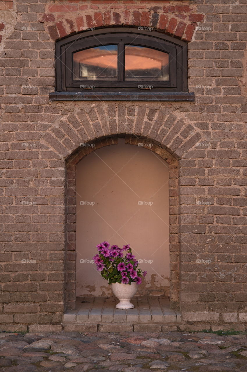 Flowers, Mir Castle.