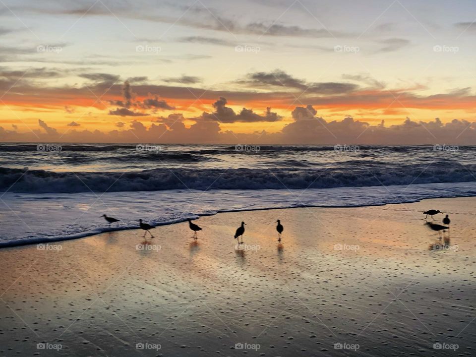 A good morning Paradise Beach Melbourne Florida