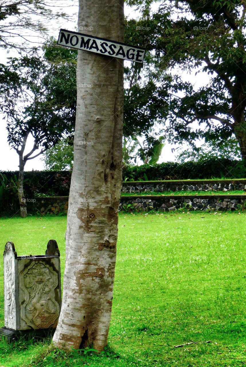 No massage today. Normally, this tree offers some massage services. You just have to rub your back on the tree trunk. Unfortunately, it has been closed, when we were there.