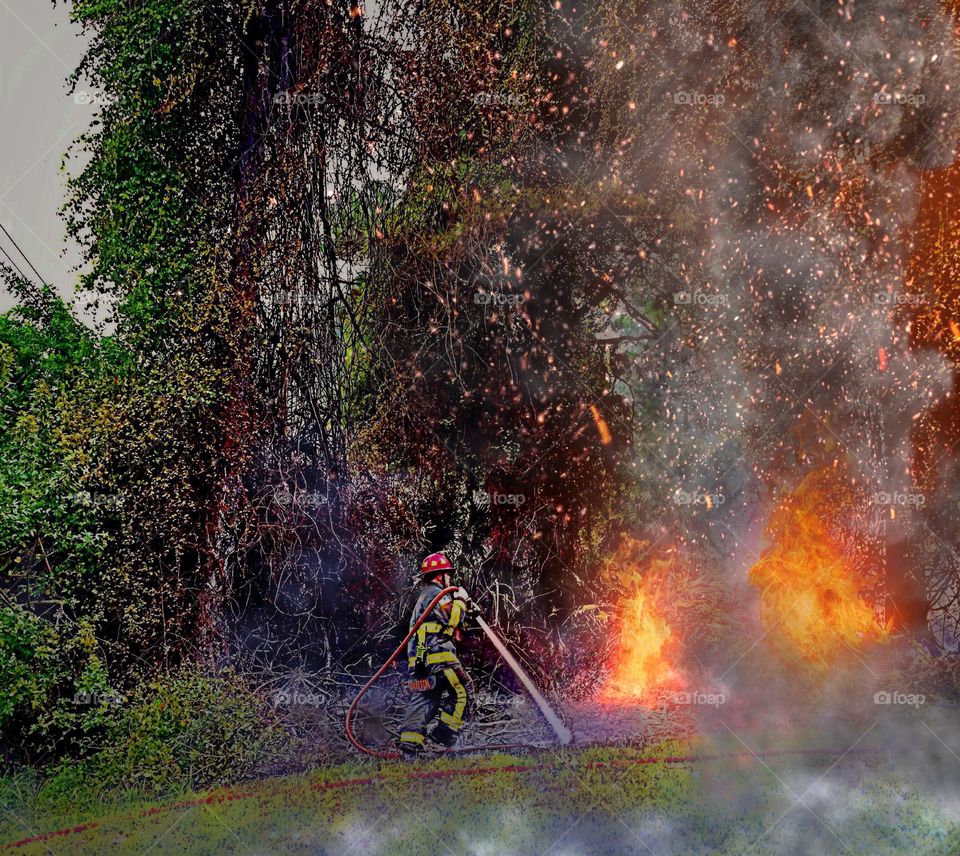 Brave firefighter. Brave firefighter extinguishing a brush fire.
