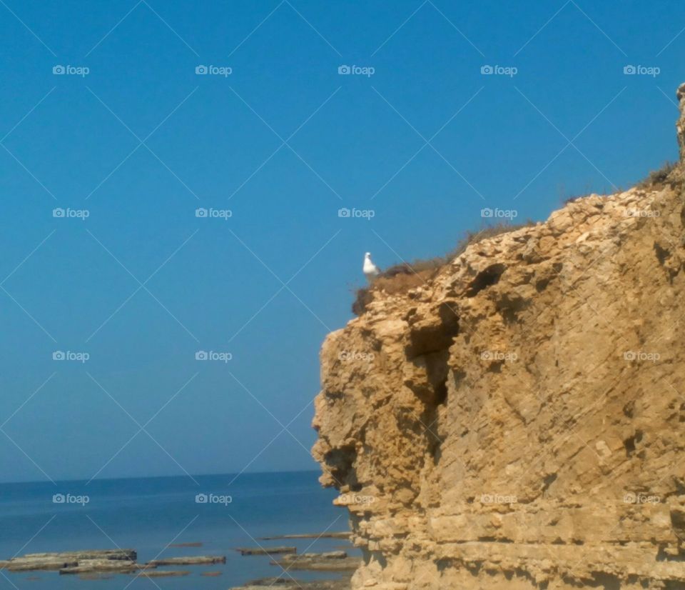 Seashore, No Person, Sea, Water, Travel