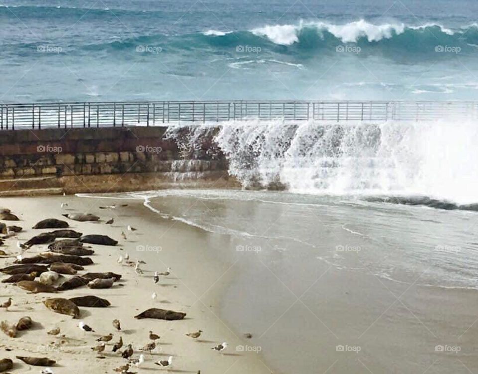 SAN Diego Califórnia 