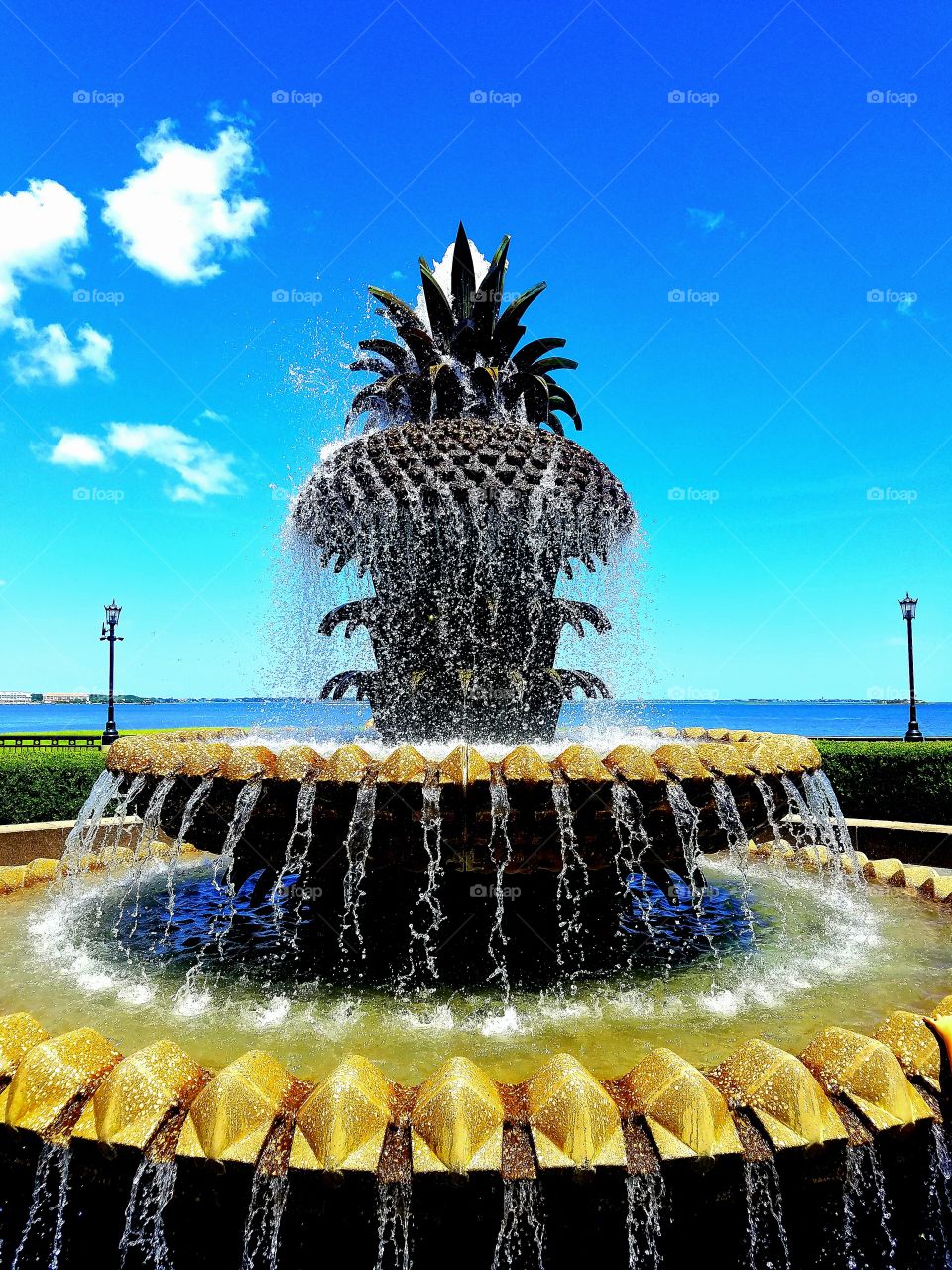 Pineapple water fountain in Charleston, South Carolina