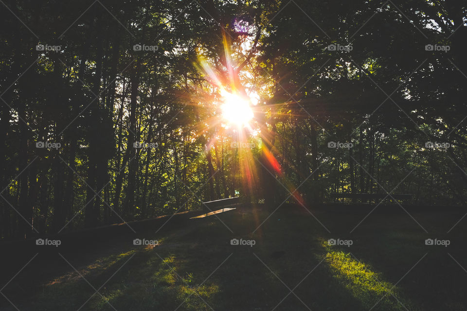 Another nice evening #walk greeted with a #beautiful #golden #sunset. When depressed we tend to be alone and want to be isolated. This just puts a downward spiral to your mood. One of the best things to do is go for a brisk walk, watch the sunrise or sunset, be with nature and you will feel better. This lonely bench is doing the right thing. He is with nature and getting some vitamin d from the sun! Eventually someone is gonna sit and he won't be lonely anymore:).