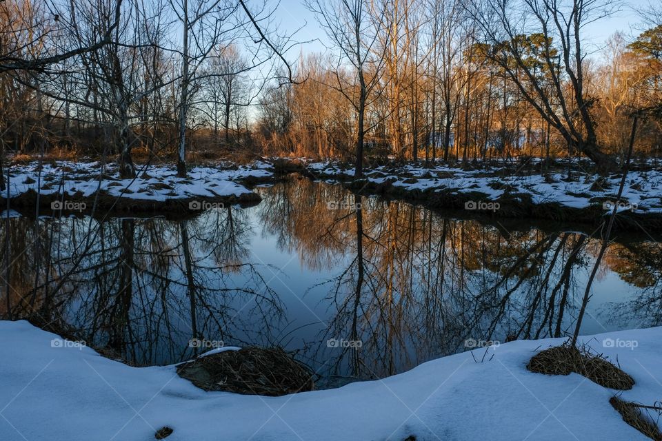 A convergence of creeks in the snow littered forest as the sun sets, with mirror tree reflections on the placid surface at Yates Mill County Park in Raleigh North Carolina.