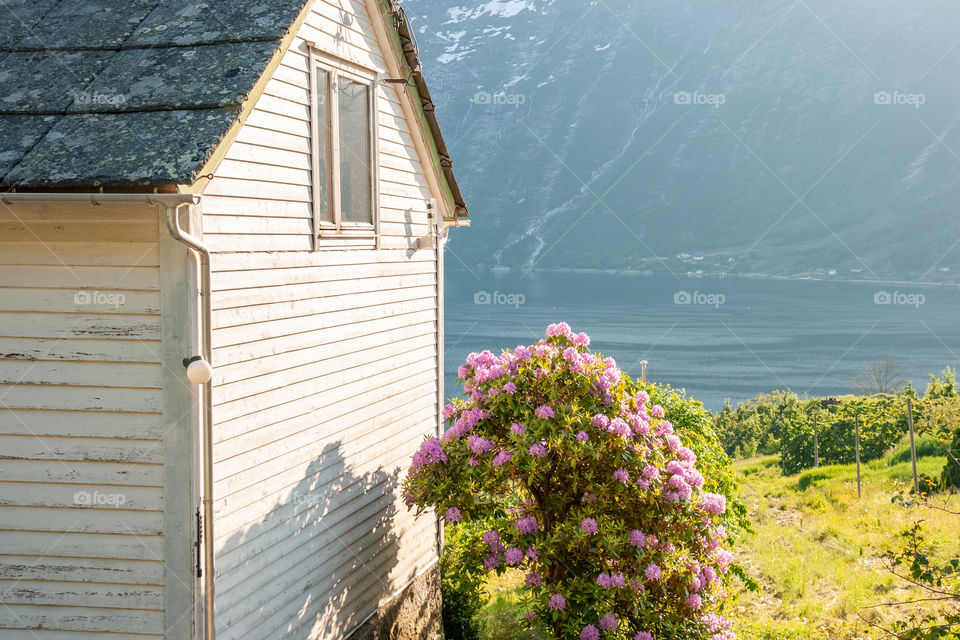 Countryside in Norway 