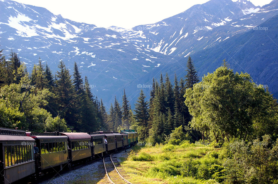 vacation, Alaska, train