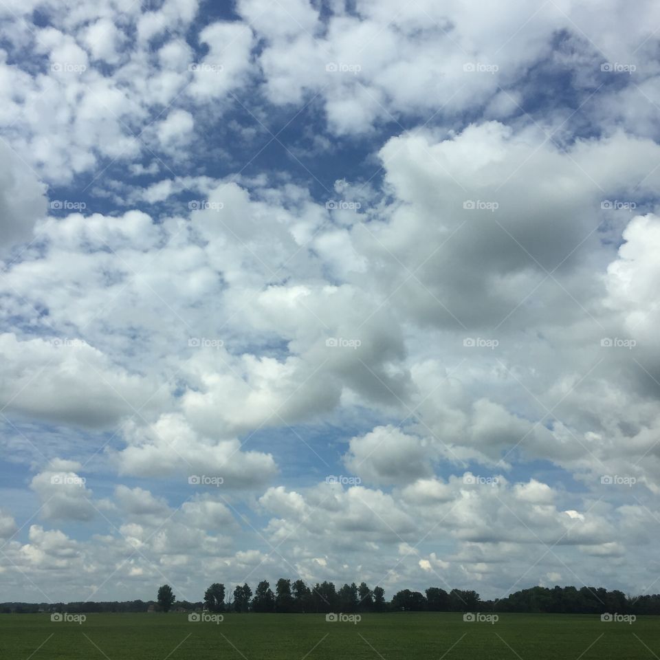 Farms and skies 