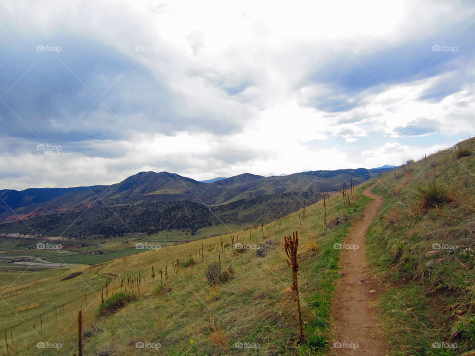 Grassy Windy Trail 