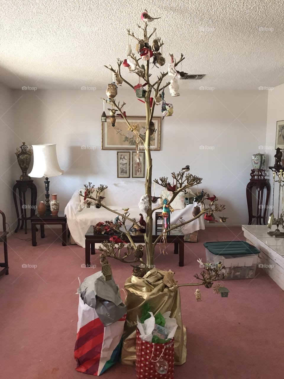 Arizona Christmas tree