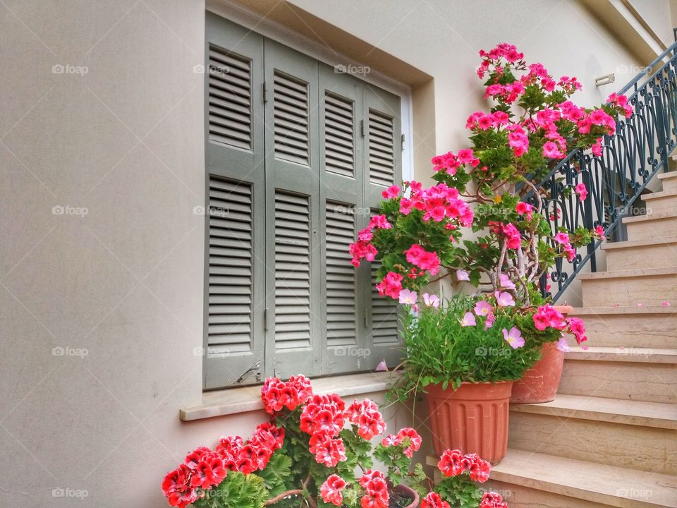 Spring just arrived!