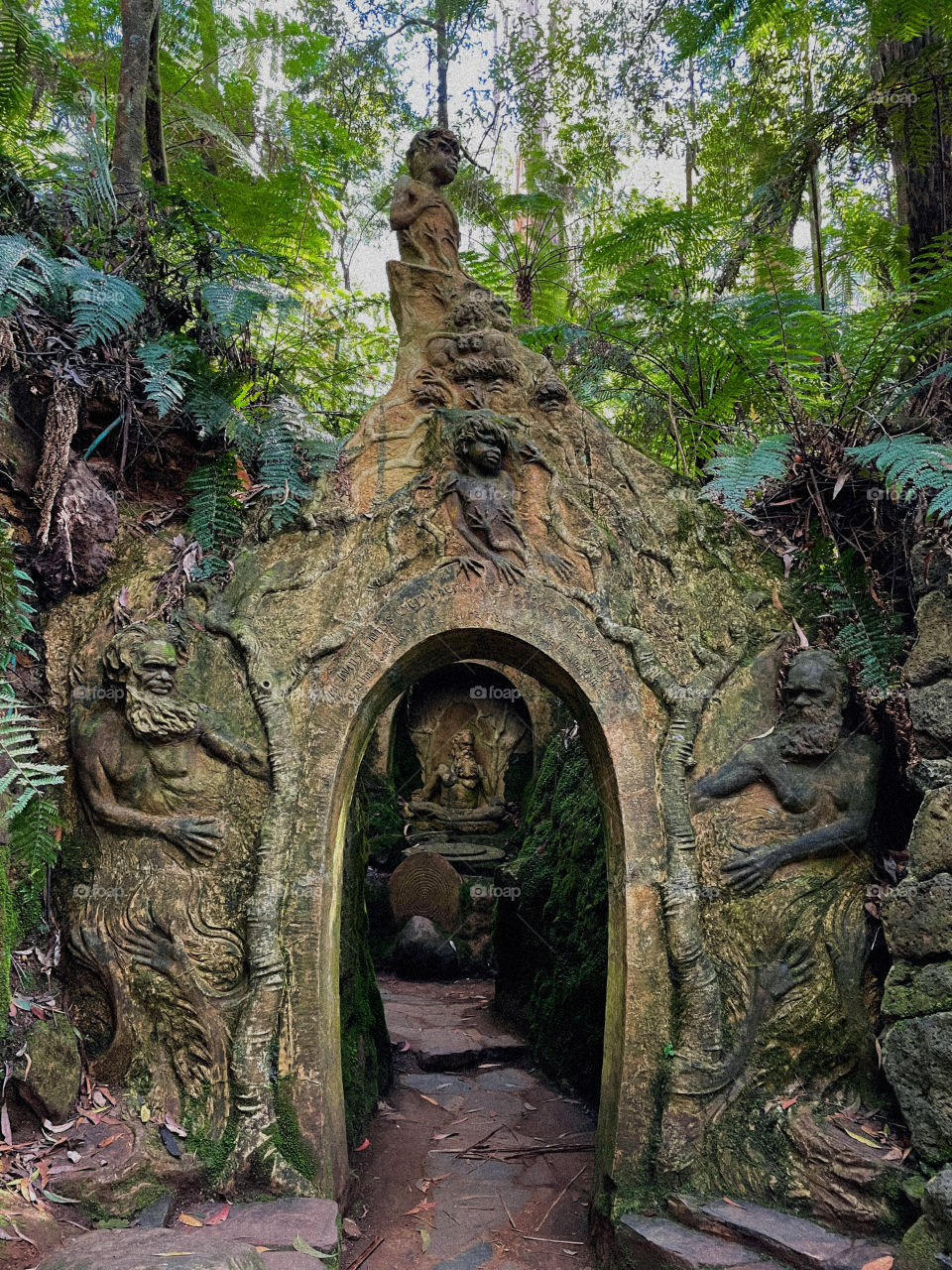 Forest sanctuary in Melbourne 